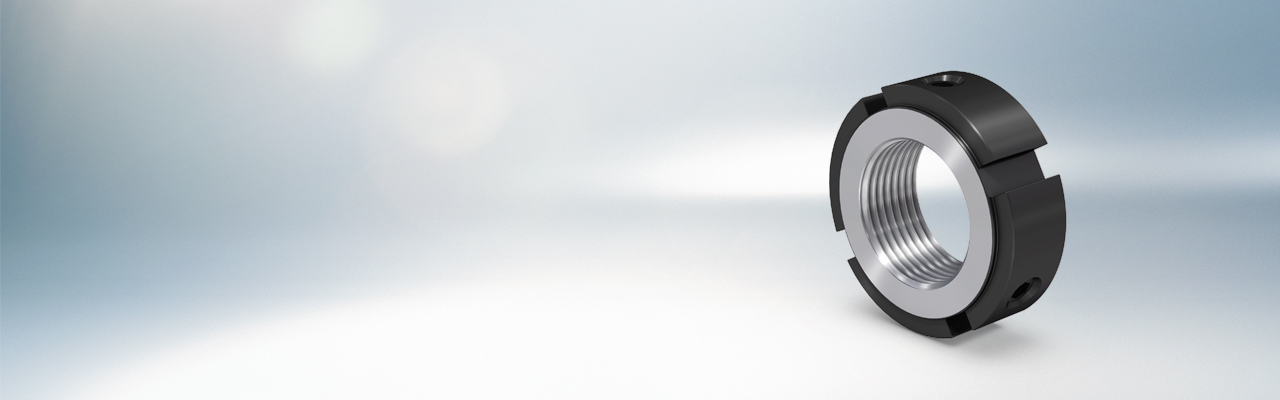 HBMs_FASTEKS_PRECISKO_2017